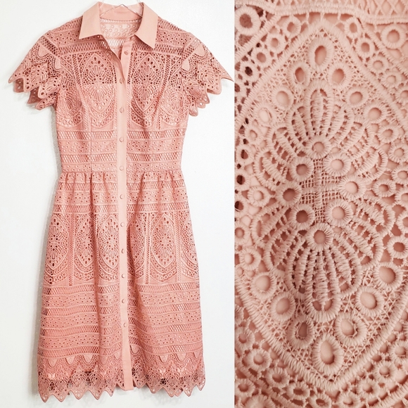 ANTONIO MELANI Dresses & Skirts - ANTONIO MELANI Blush Pink Lace Shirt Dress